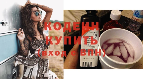 дурь Няндома